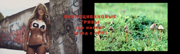 MESCALINE Шадринск