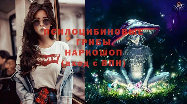 дмт Щигры