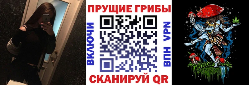 где можно купить наркотик  Белый  Галлюциногенные грибы Psilocybine cubensis 