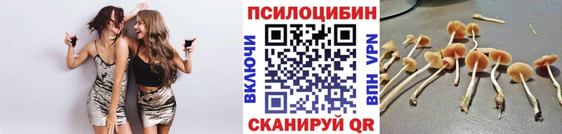 Галлюциногенные грибы Psilocybe Белый